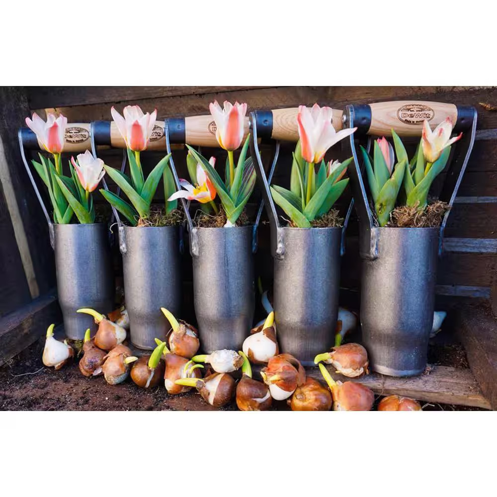 British Style 10.5 In. L Bulb Planter