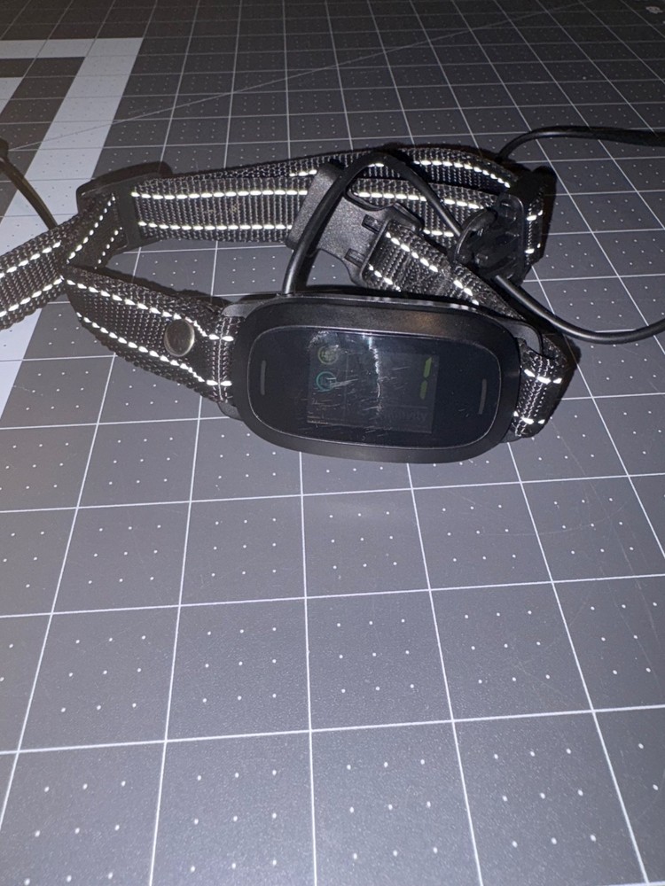 anti bark collar for medium to large dogs