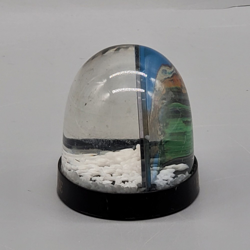 Firenze Souvenir Snow Globe Florence Double View