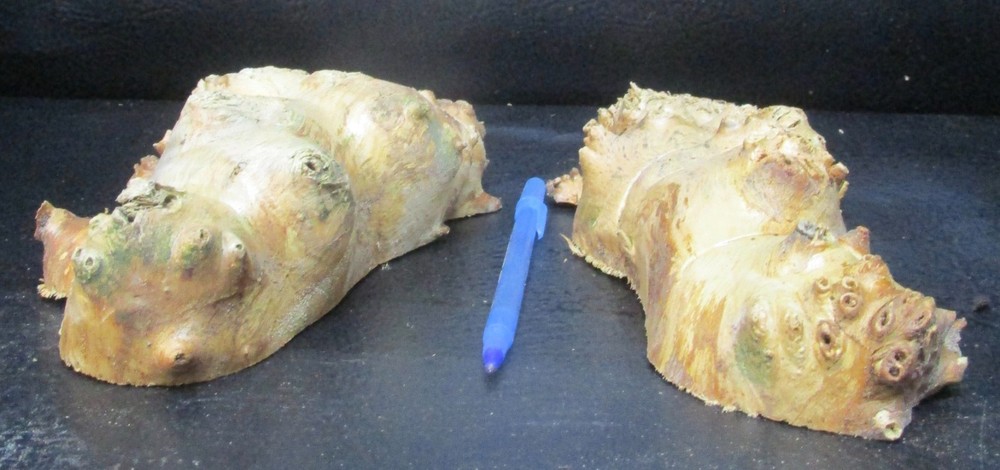 2pc Buckeye Burl end caps/cut offs #D411 assorted sizes