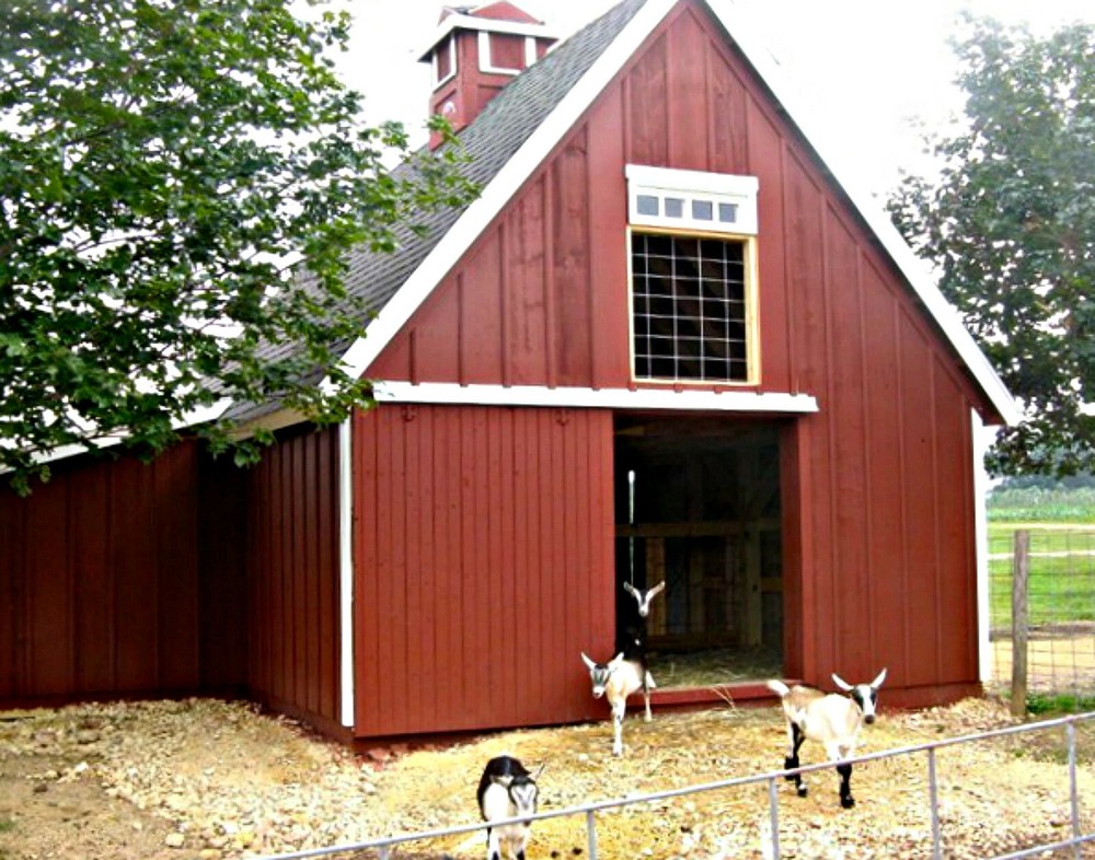 3 Small Animal Barn Designs- Complete Pole-Barn Construction Plans (B2)