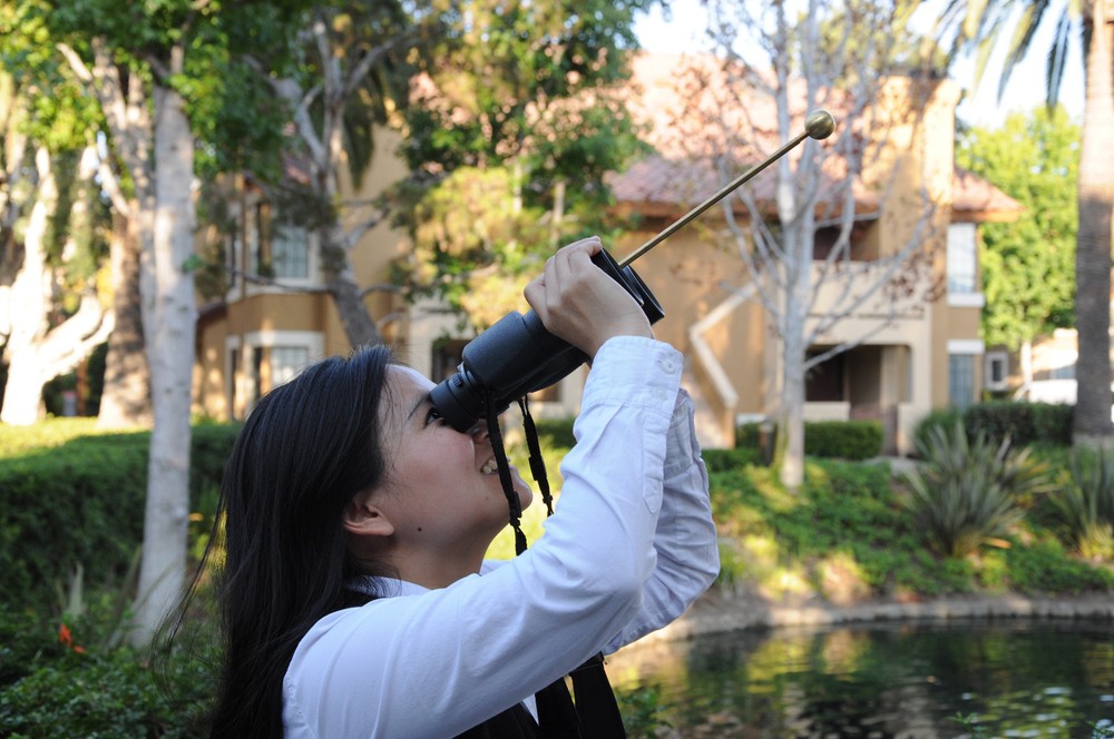 Image stabilizing brass Dob Rod for Binoculars