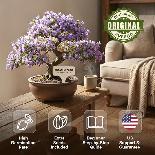 Bonsai Starter Kit – Growing Jacaranda Bonzai Tree | Complete Indoor Tree Kit fo
