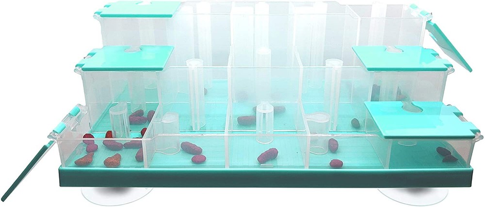Spot Doc & Phoebe Puzzle Feeder for Cats, Blue
