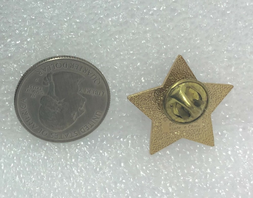 Star Volunteer Pin