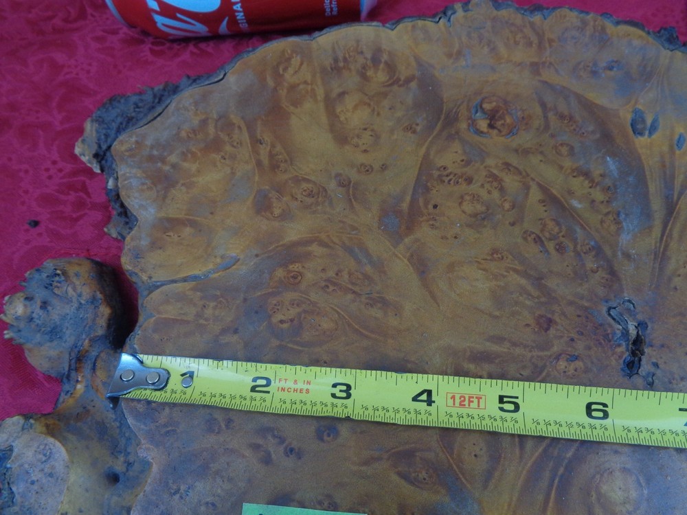 Burlwood Tree Slice #7