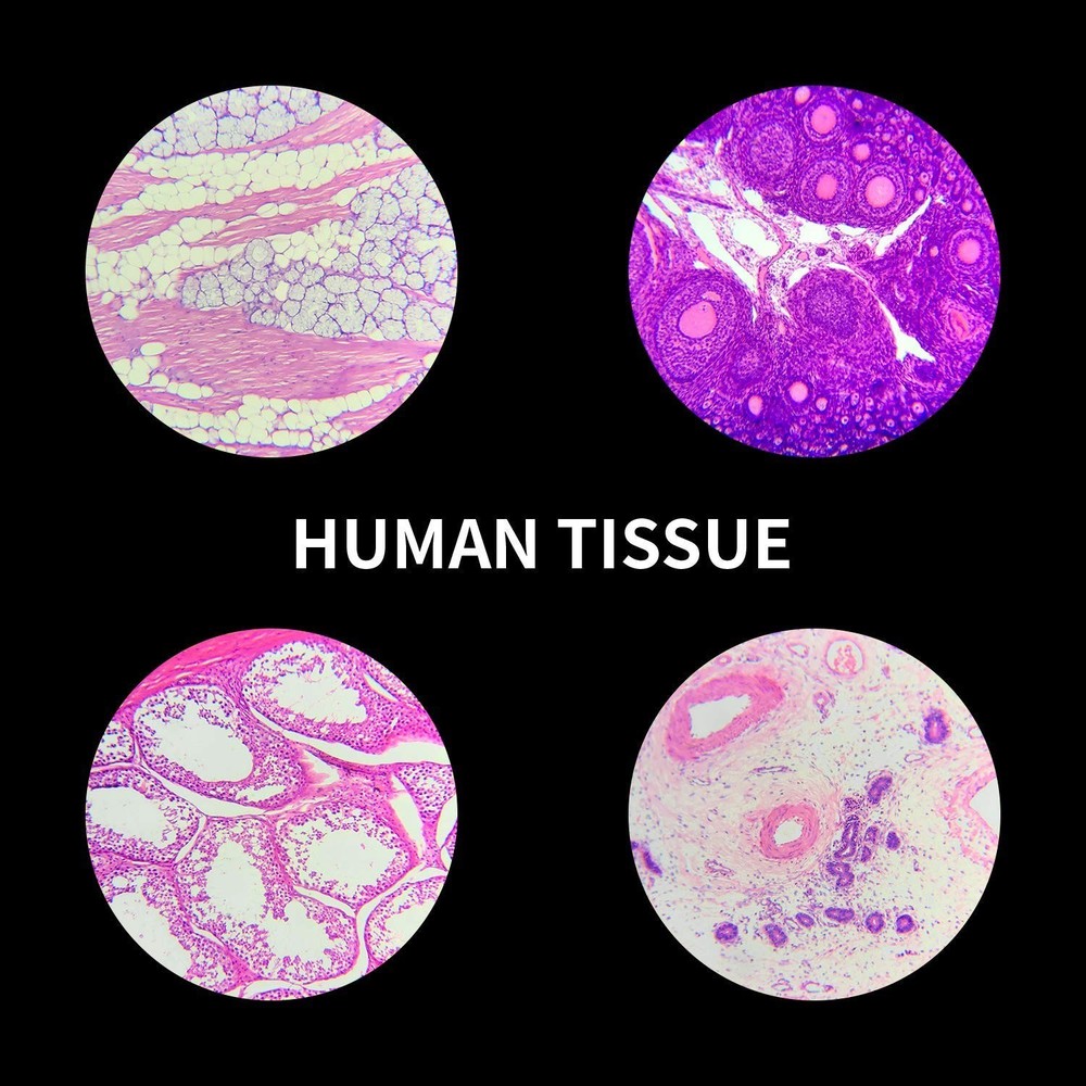 100Pcs Prepared Microscope Slides Set Professional Specimens for Kids Student...