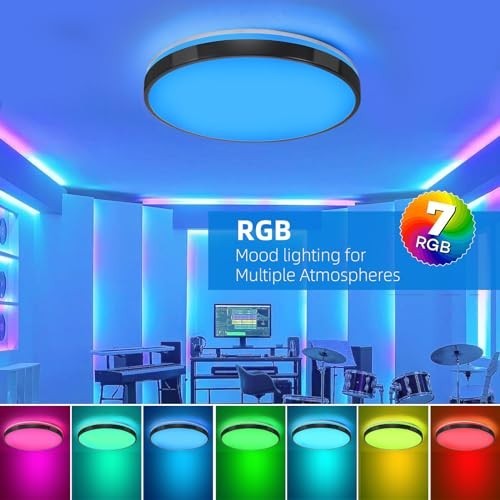 24W LED Flush Mount Ceiling Light with Bluetooth Speaker & Remote Control, RGB C