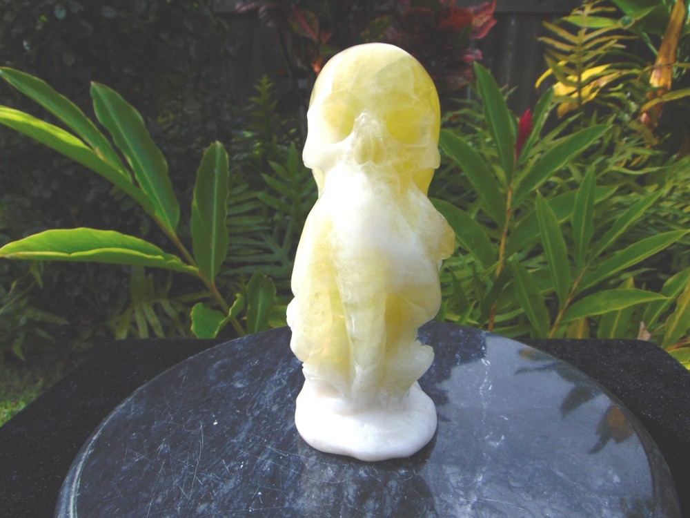 Citrine Carved Octopus Skull from Skullis