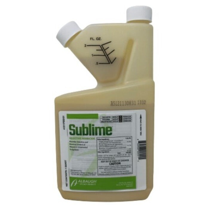 Sublime QT