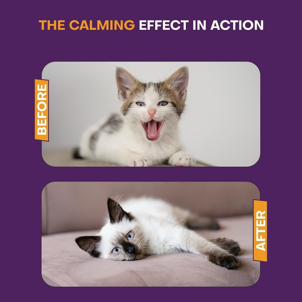 Cat Calming Diffuser 5 Pack Includes 2 Diffusers Machines & 3 Refills Pheromone