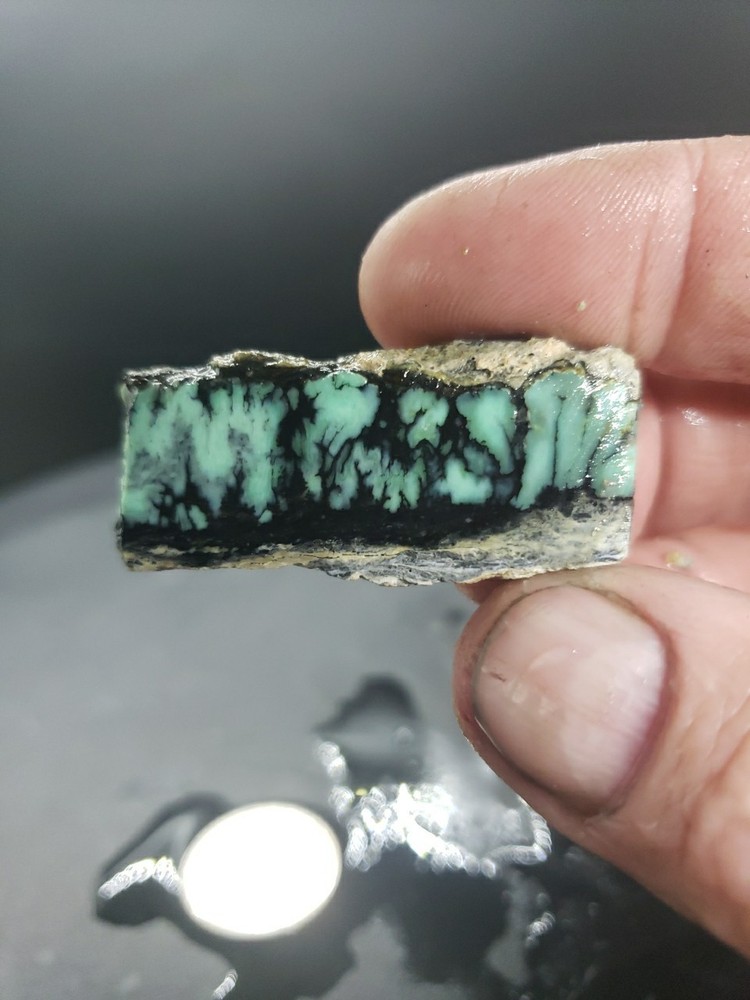 Nevada Saguaro Variscite Slab