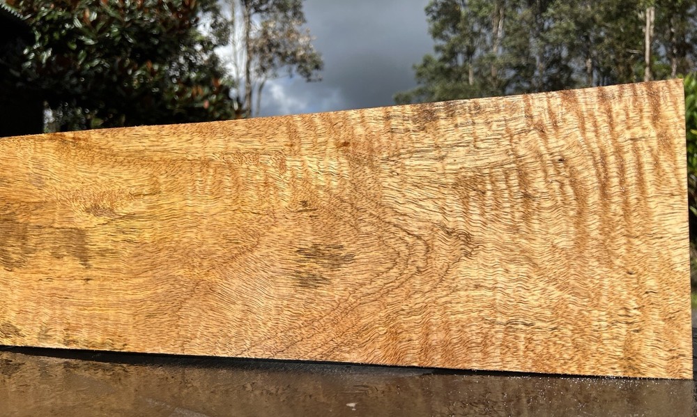 Hawaiian Curly Mango Board #12180