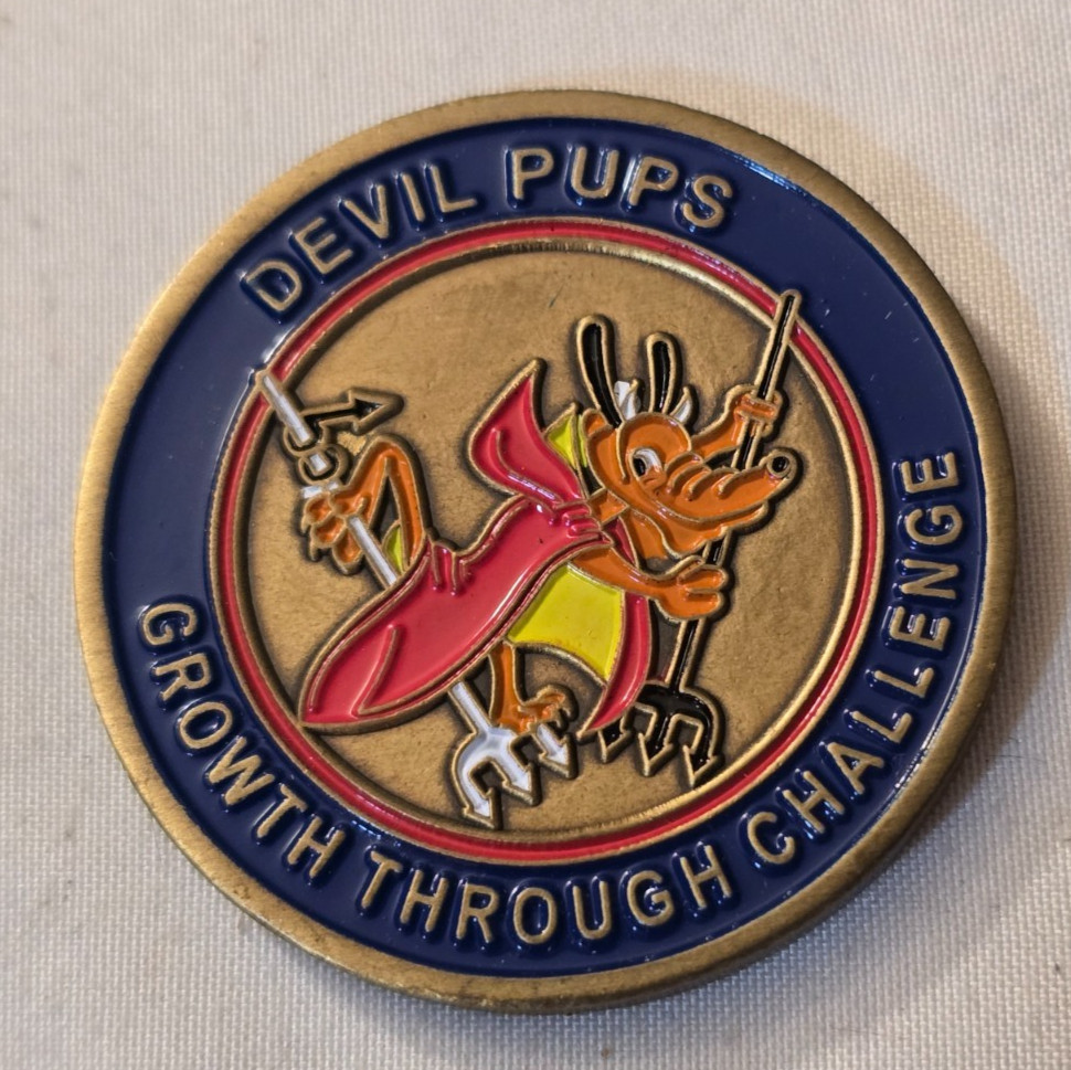 US Marine Corps Camp Pendleton Devil Pups Challenge Coin 8 / USMC
