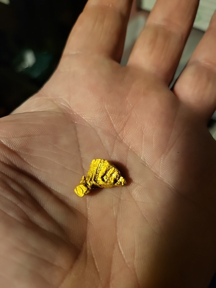 Gold Nugget