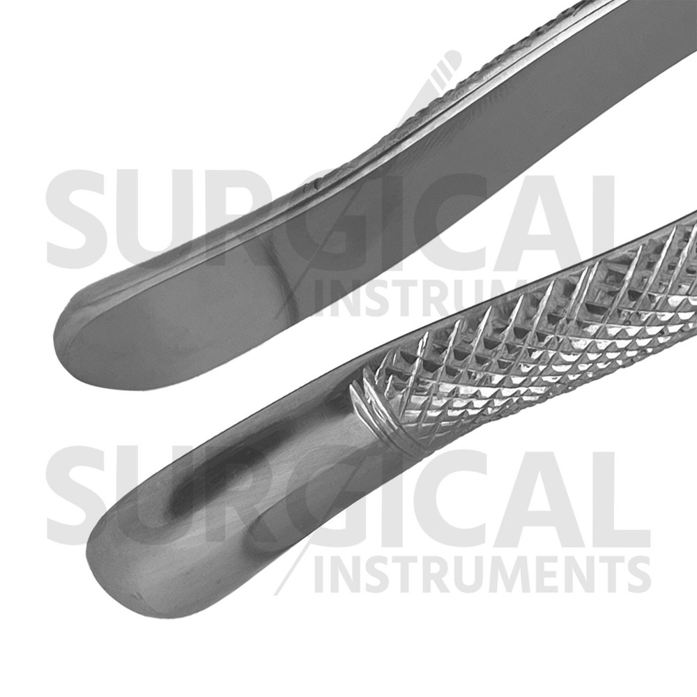 Extracting Forceps Dental Surgical Instruments #3FS German Grade