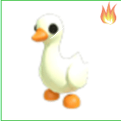 Goose  - Cheap & Trusted Store!!