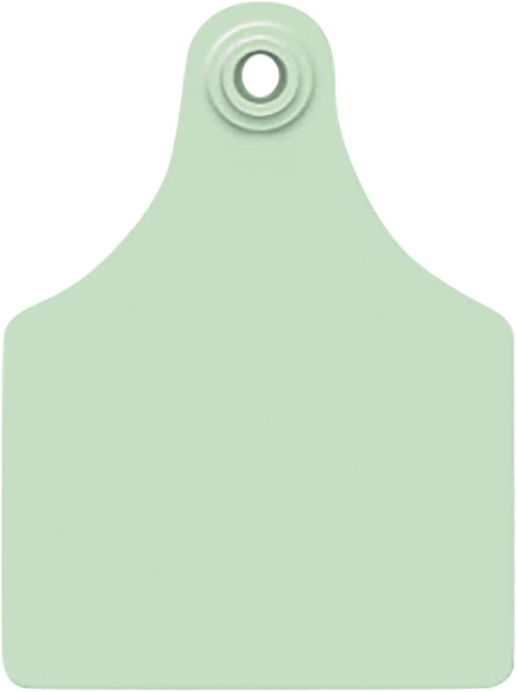 Maxi GLBL TAG GRN BLNK 25'S