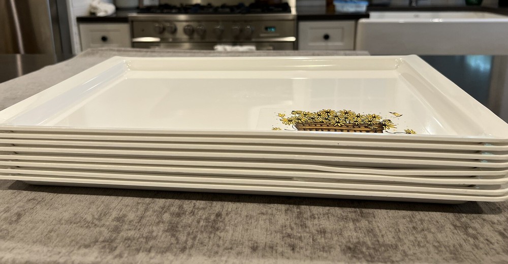 RARE Sterilite Trays-8