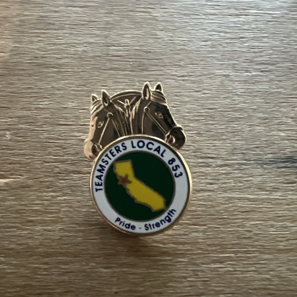 Teamsters local 853 Pride Strength Lapel Pin