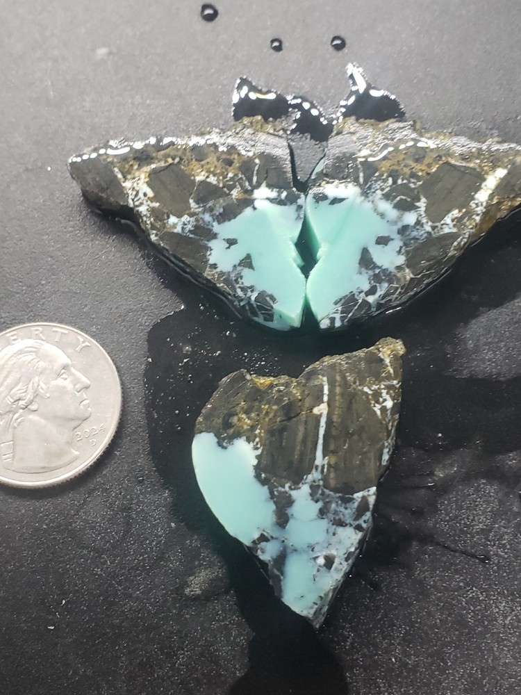 Nevada Gecko Variscite Slabs