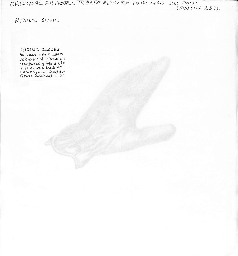 Riding Glove Graphite Drawing
