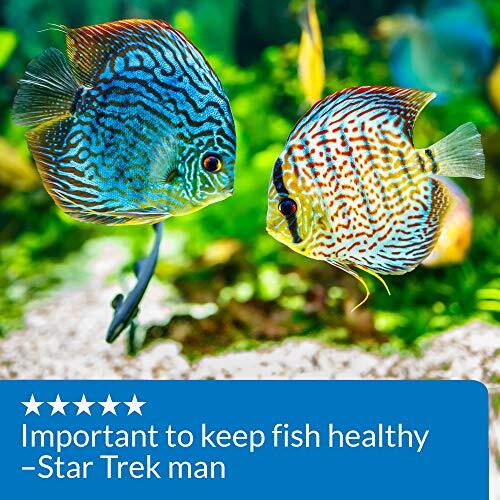 pH UP Freshwater Aquarium pH Raising Solution 4 oz