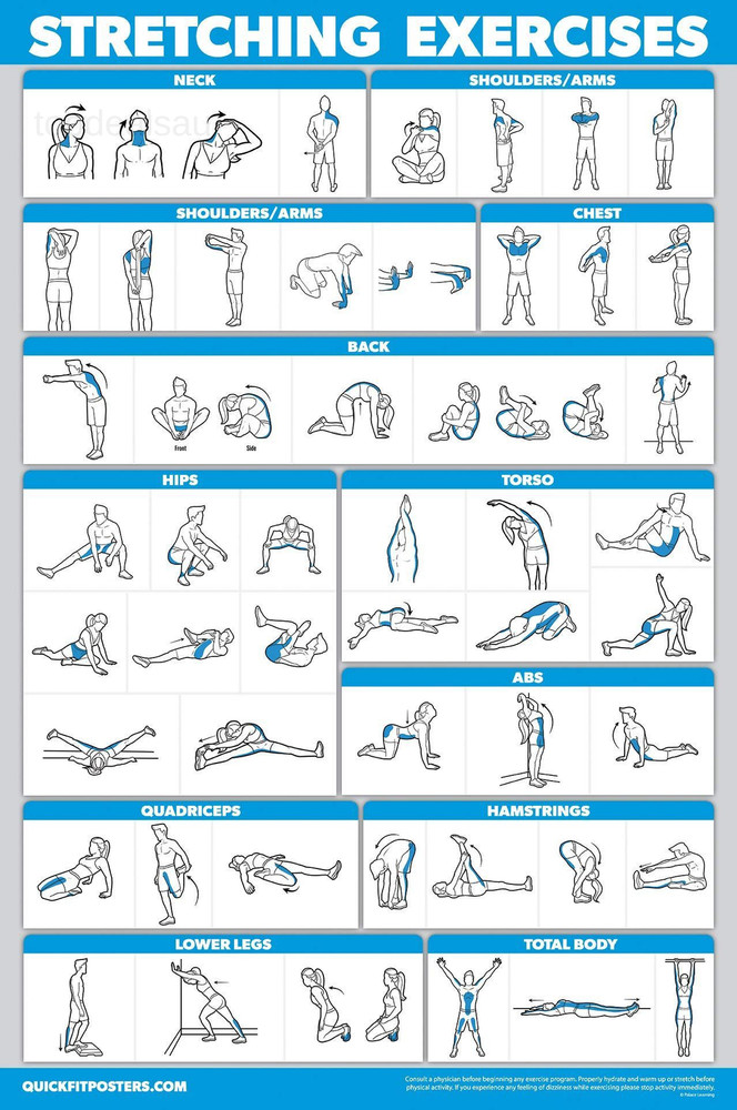 10 Pack - Exercise Workout Poster Set - Cable Machine, 18" x 24", LAMINATED