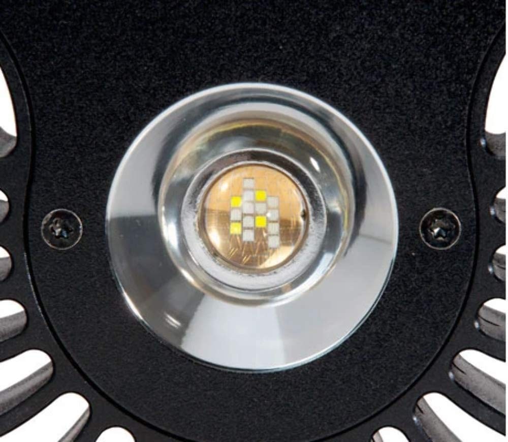 A80 Tuna Sun LED Light