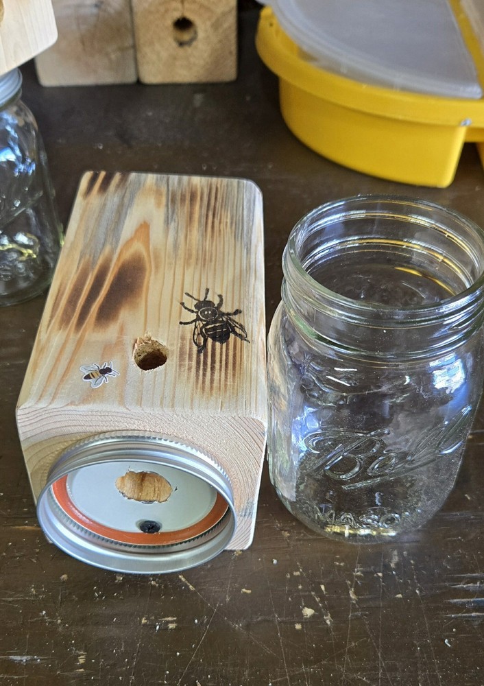 CARPENTER 'BORE' BEE TRAPS THAT WORK!