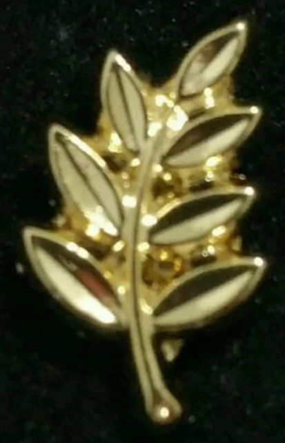 Freemason Masonic Lapel Pin