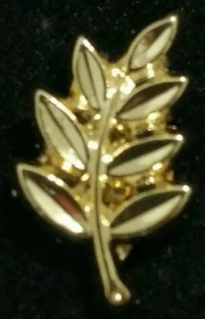 Freemason Masonic Lapel Pin
