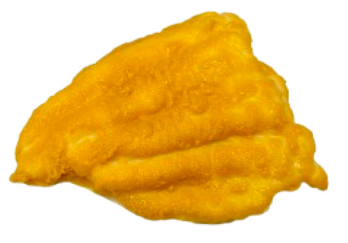 Display Fake Food Prop Catfish