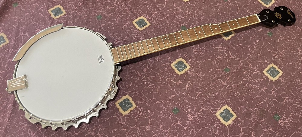 Rogue B30 5-String Banjo Easy Project