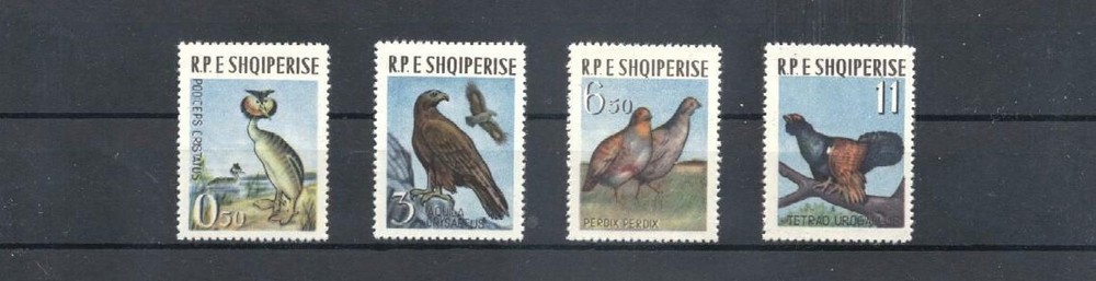 (907355) Birds, Albania