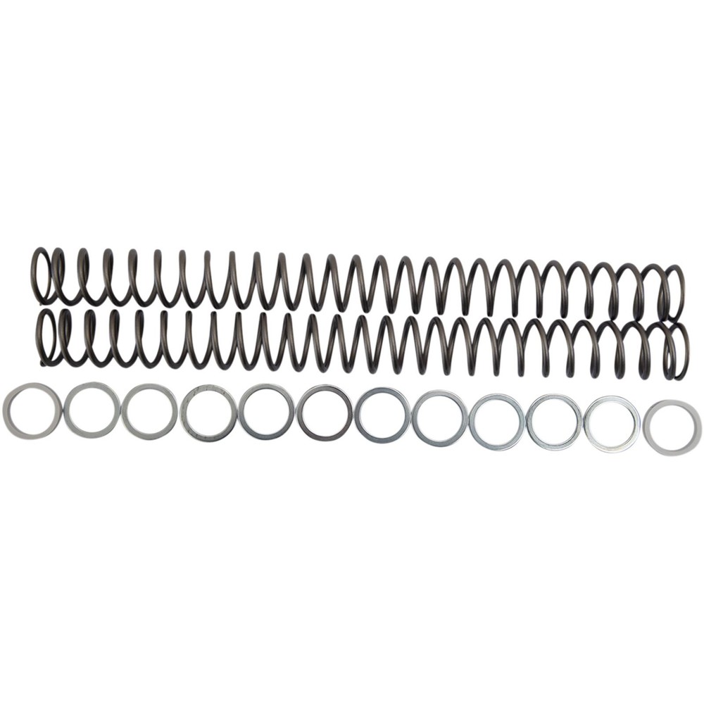 Race Tech Fork Spring 0.48kg FRSP 434648