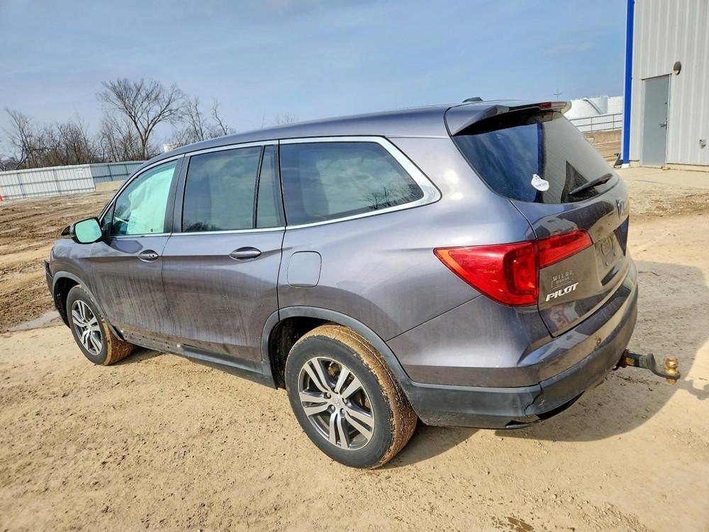 PILOT 2017 Jack 1552265