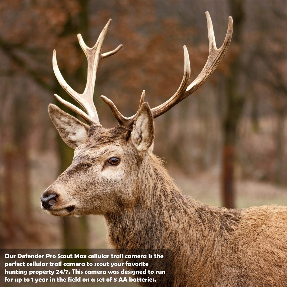 Browning Trail Camera Defender Pro Scout Max Cellular Trail Camera Bundle