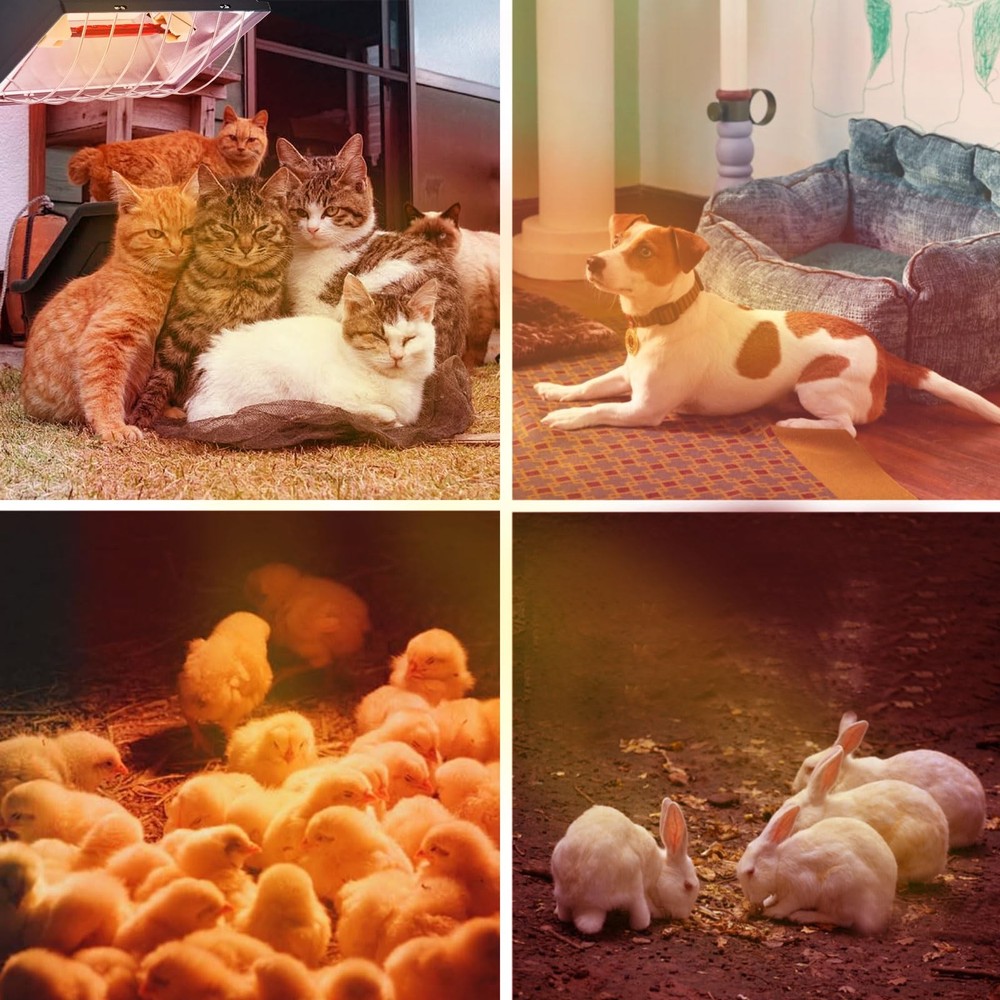 Chicken Coop Heat Lamp 250W Brooder Heating Plate for Chicks Hanging Light He...