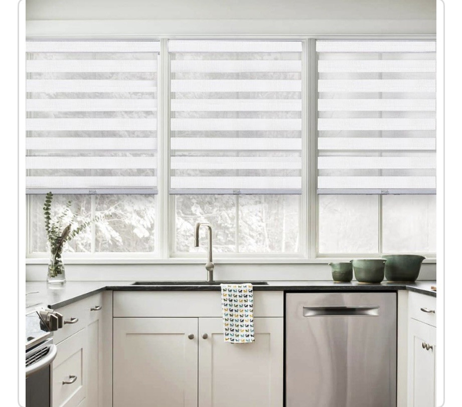 NEW Chicology Light Filtering Dual Layer Zebra Roller Shade Basic Arctic