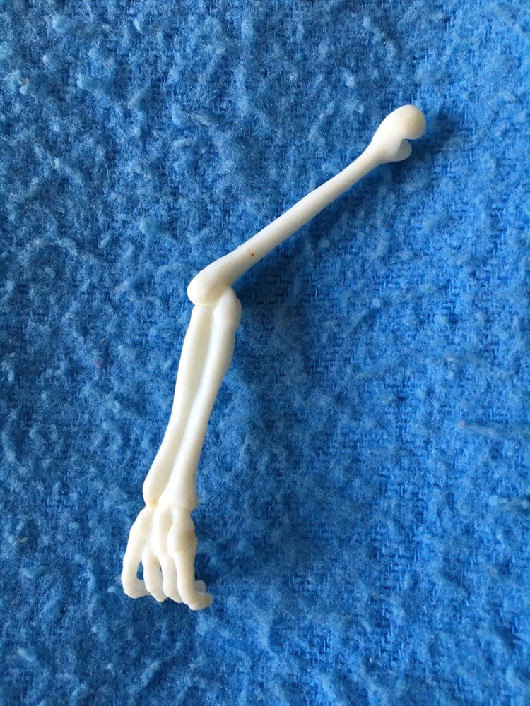 RATTLE ME BONES Motorized Game Choose Your Replacement Part Piece Ideal 1989