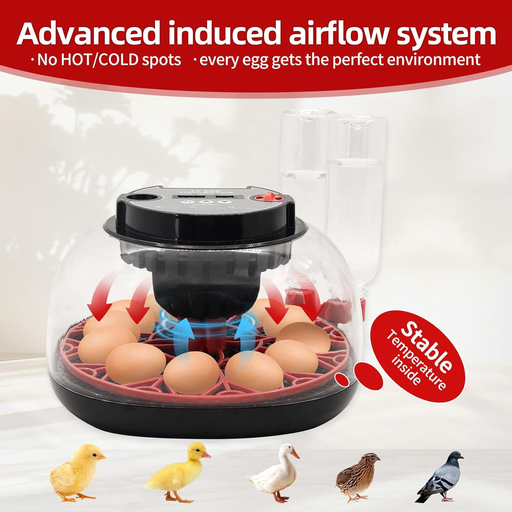 12 Egg Incubator with Humidity Display, Egg Incubator with Automatic Egg Turning