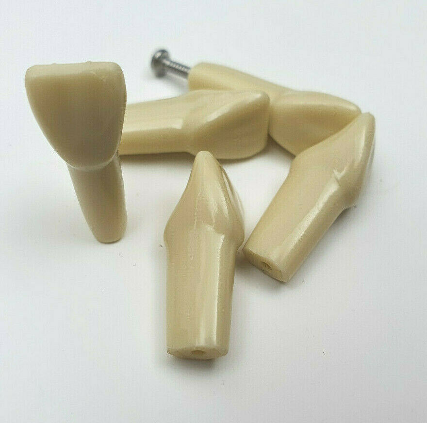 Frasaco type Compatible Replacement AG3-A2 Typodont Practice Teeth. (5 total)