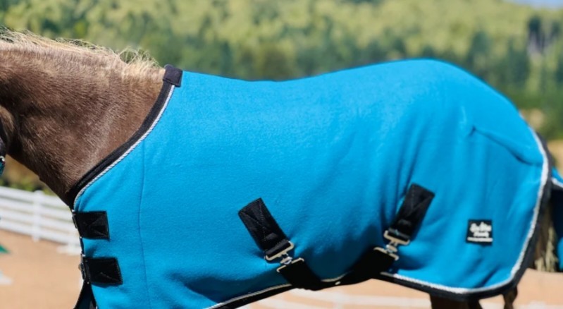 Miniture Horse Cooler