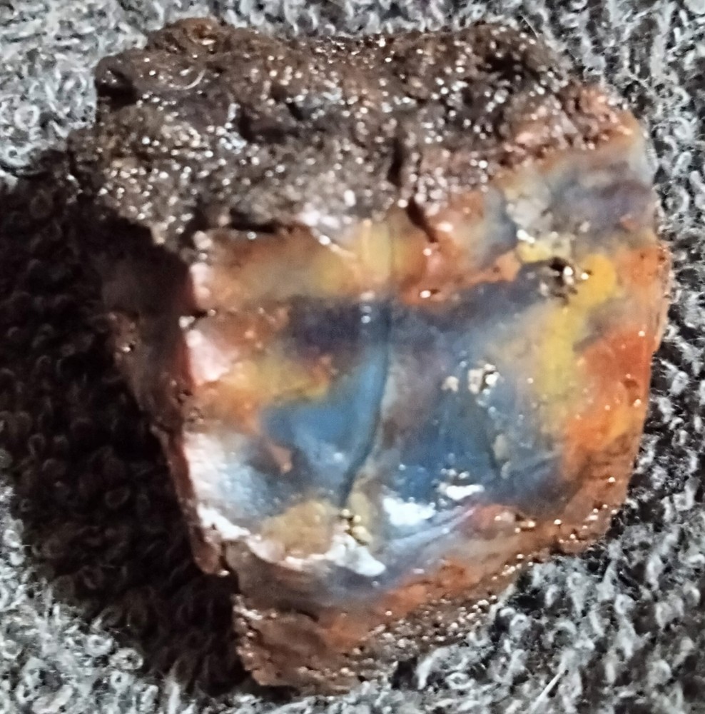 Petrified Wood Rough Specimen AZ 50g