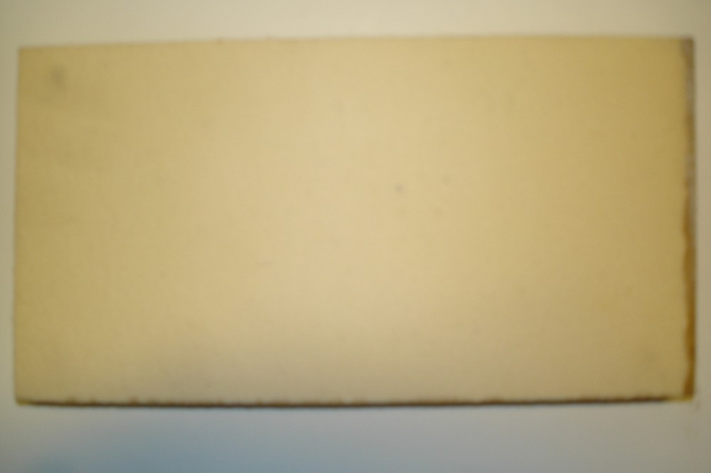 National-Detroit 541 replacement pad