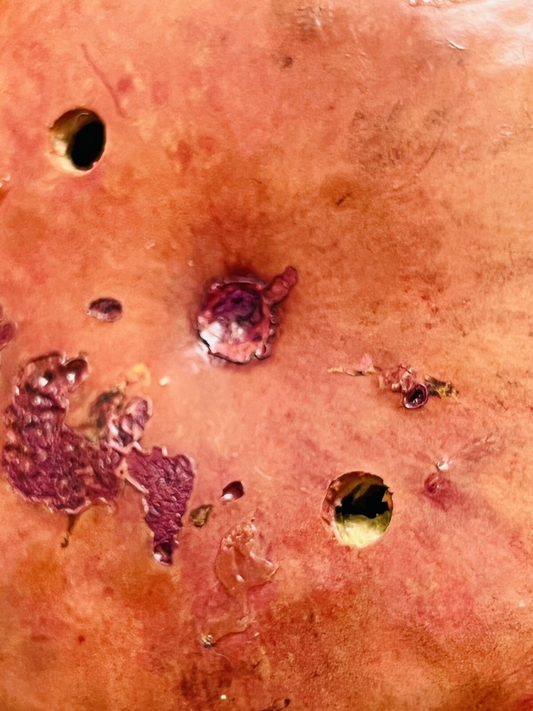 Painted Gourd