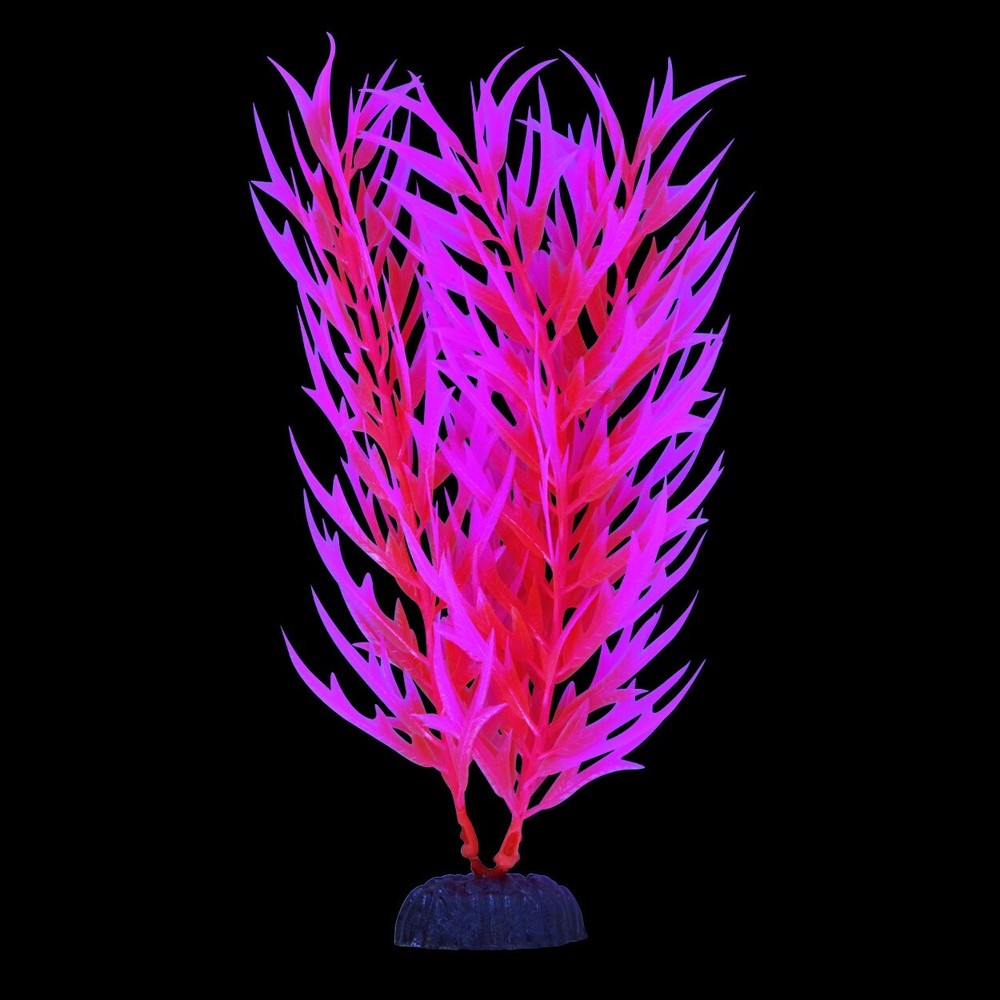 RA Glow Bamboo - Pink (2 Pack)