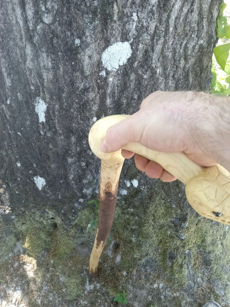 Handmade Unique Viper Snake Walking Cane Solid One Piece Stick