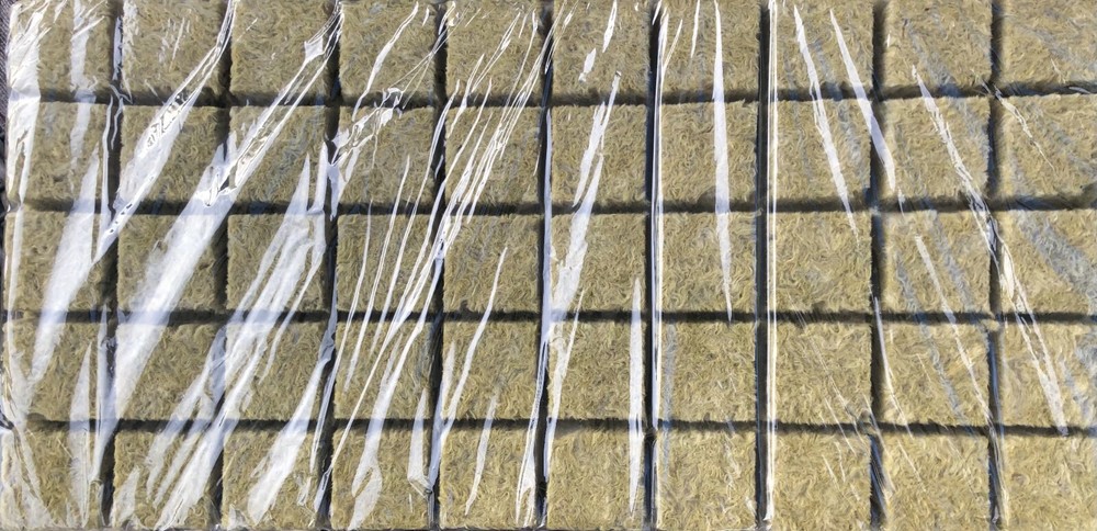 Spring 2021 Starter Plugs,  50 sites